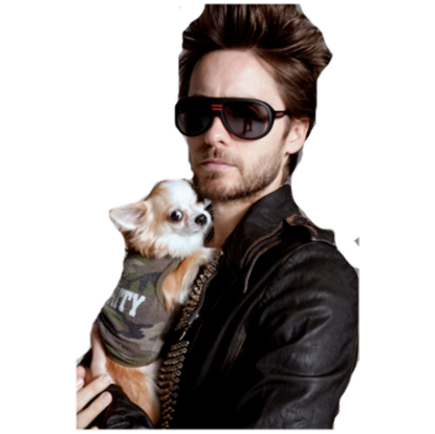 Jared Leto PSD Filesize 038 MB Downloads 30 Date Added 02182011