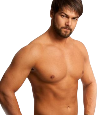 http://www.officialpsds.com/images/thumbs/Justin-Gabriel-psd68124.png
