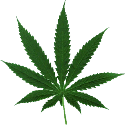 Marijuana Leaf | PSD Detail