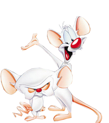 pinky and brain. Pinky and The Brain PSD
